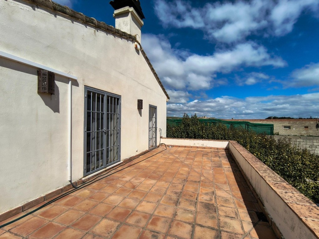 Imagen 3 de Finca rústica con infraestructuras listas para explotación en Belinchón (Cuenca)