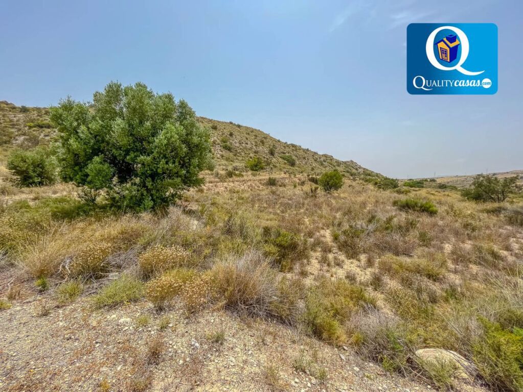 Imagen 2 de Piso en Venta en Xixona Alicante Ref: 25515