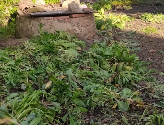 Imagen 4 de Casa de pueblo en Venta en San Vicente De Alcantara Badajoz