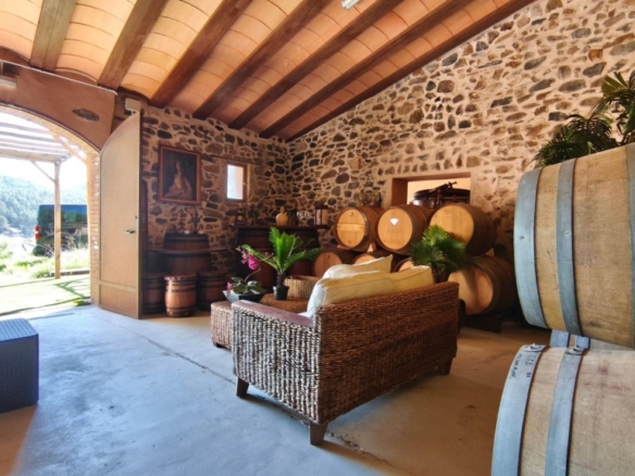 Imagen 4 de Un Viñedo Boutique en el Priorat – Cree su propio vino de autor
