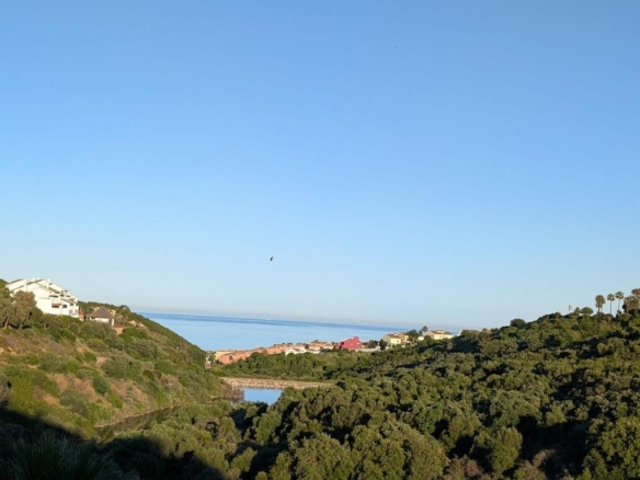 Imagen 3 de Apartamento en Alquiler en San Roque Cádiz