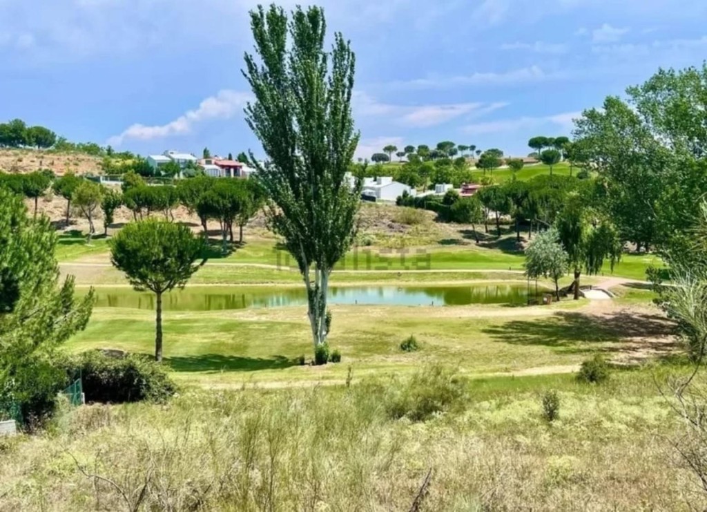 Imagen 2 de Terreno en Cabanillas del campo