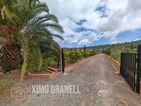 Imagen 3 de Casa de pueblo en Venta en Sagunto Valencia