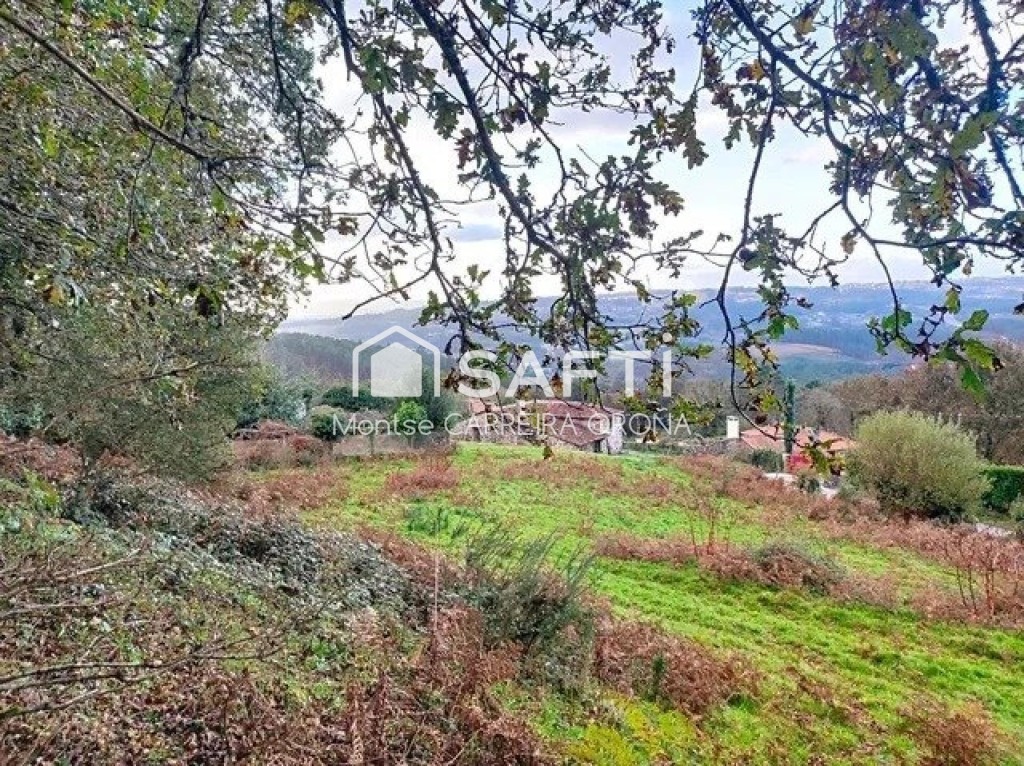 Imagen 3 de ESPECTACULAR ARBOLEDA DE 7.000 METROS CUADRADOS CON BONITA CASA DE PIEDRA PARA RESTAURArR