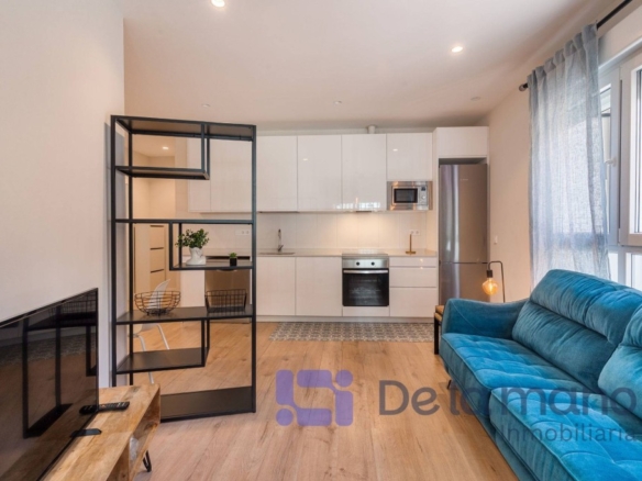 Imagen 1 de VIVIENDA REFORMADA Y EQUIPADA CON TODAS LAS CALIDADES