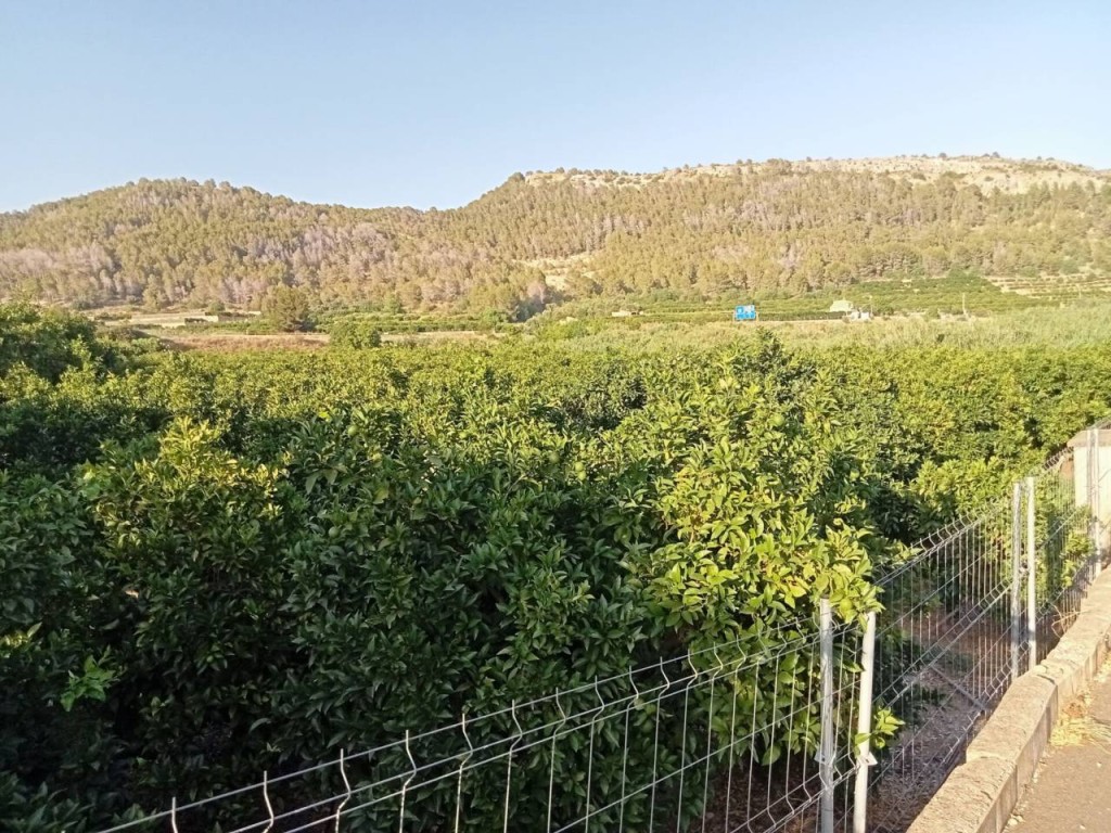 Imagen 2 de Apartamento en Venta en Palma De Gandia Valencia