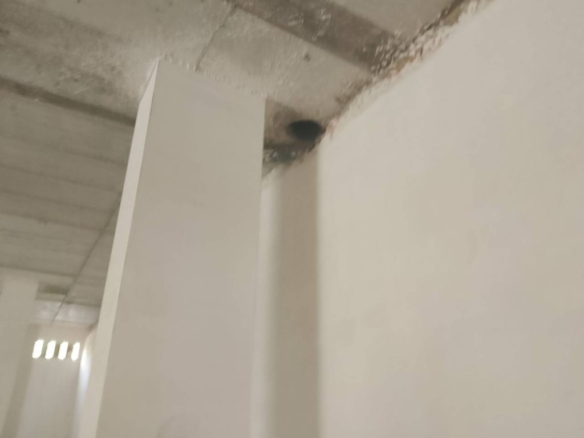 Imagen 2 de Local comercial en Venta en Tavernes De La Valldigna Valencia