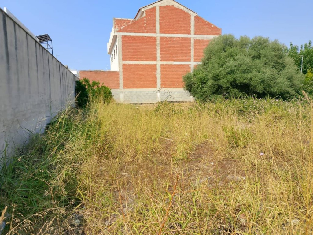 Imagen 4 de Apartamento en Venta en Piles Valencia