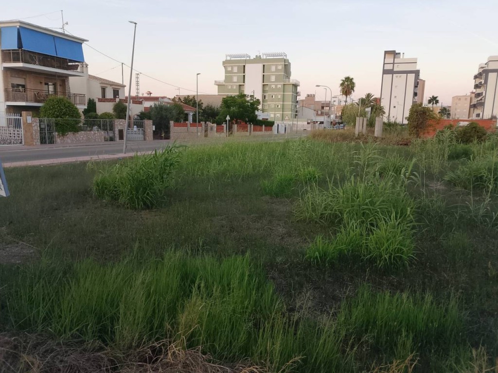 Imagen 3 de Apartamento en Venta en Piles Valencia