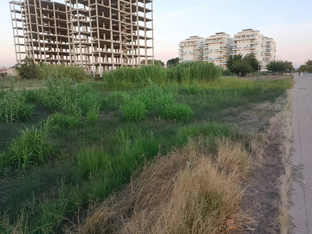 Imagen 4 de Apartamento en Venta en Piles Valencia