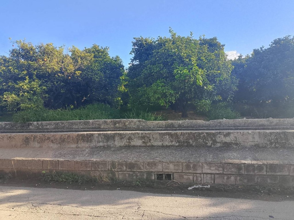 Imagen 4 de Apartamento en Venta en Oliva Valencia