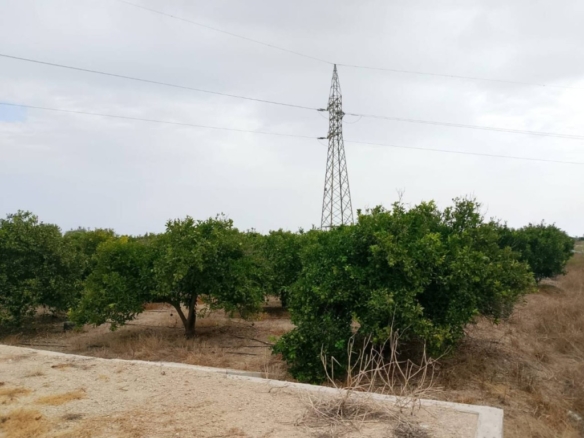 Imagen 3 de Apartamento en Venta en Piles Valencia