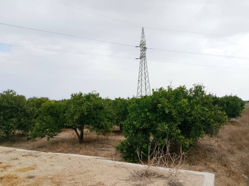 Imagen 3 de Apartamento en Venta en Piles Valencia