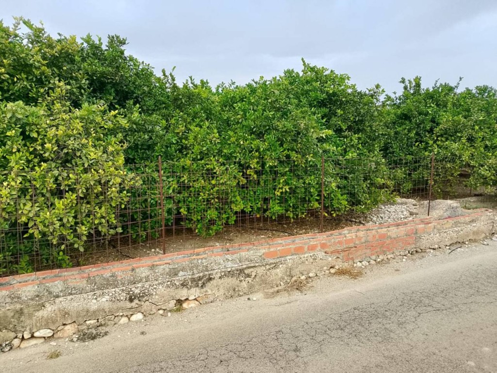 Imagen 4 de Apartamento en Venta en Oliva Valencia