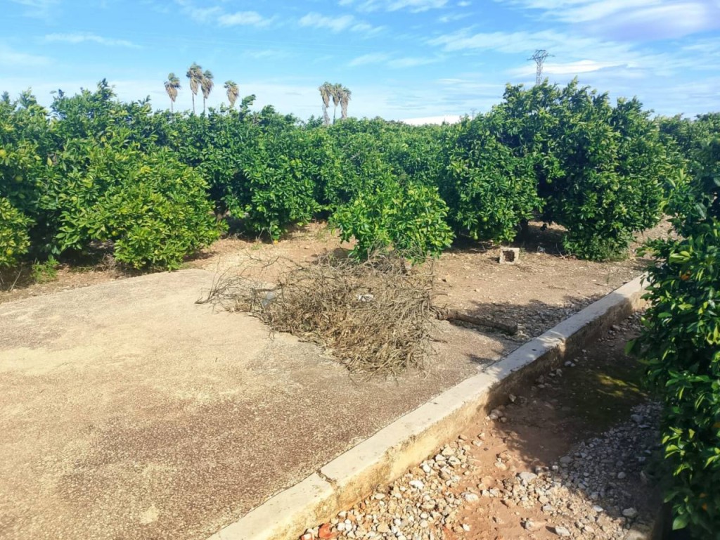 Imagen 1 de Apartamento en Venta en Xeresa Valencia