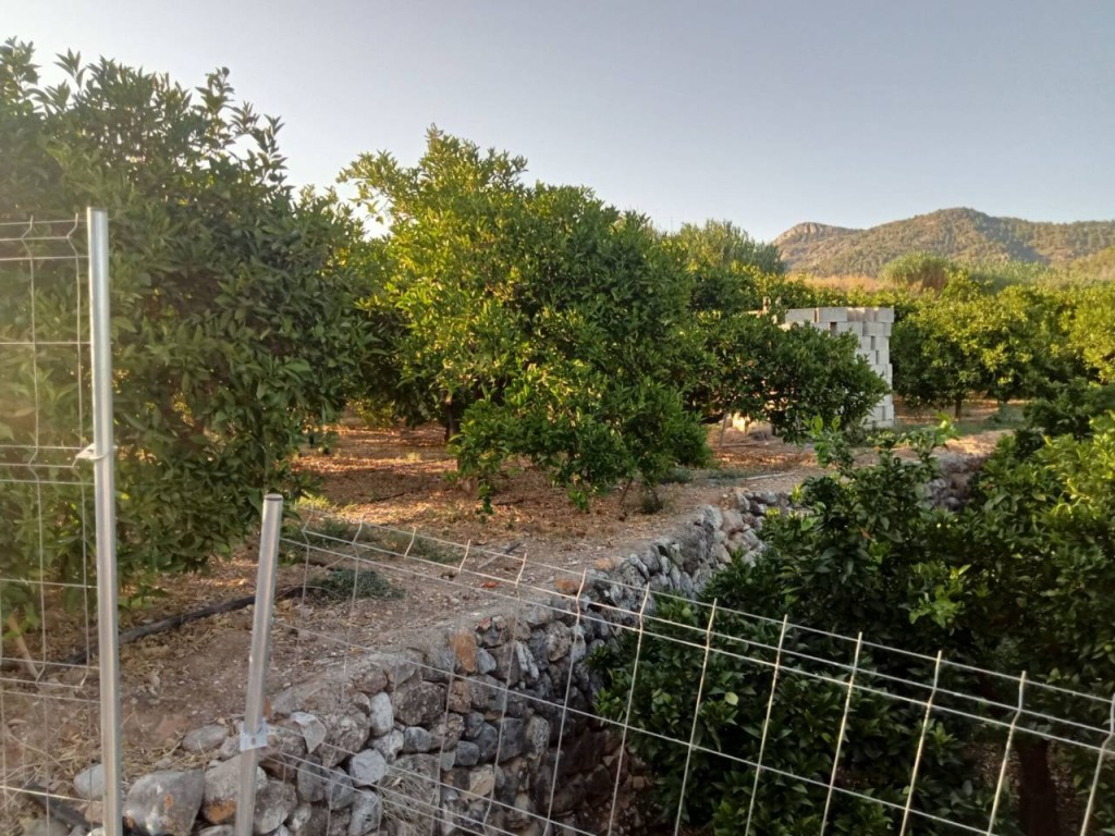 Imagen 4 de Apartamento en Venta en Palma De Gandia Valencia