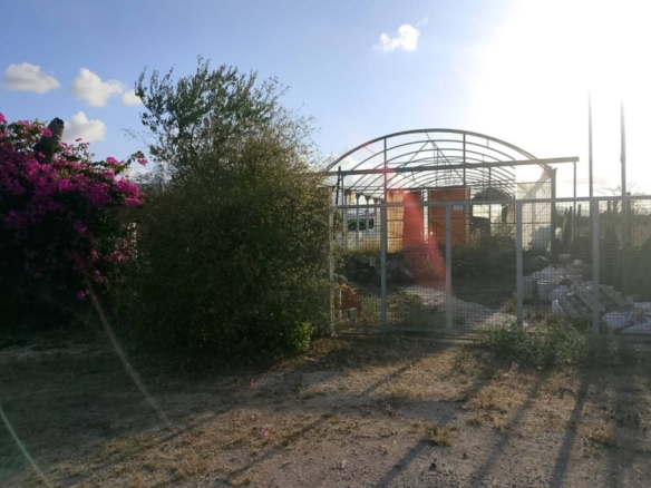 Imagen 1 de Apartamento en Venta en Piles Valencia