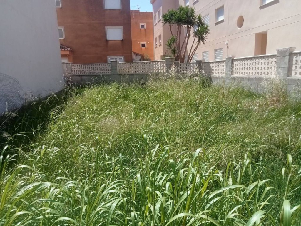 Imagen 2 de Apartamento en Venta en Miramar Valencia