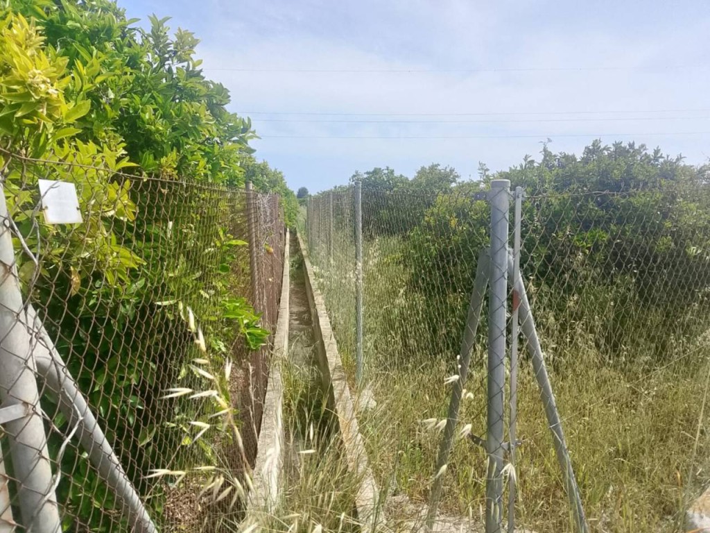 Imagen 4 de Apartamento en Venta en Gandia Valencia