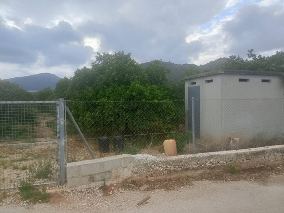 Imagen 4 de Apartamento en Venta en Oliva Valencia