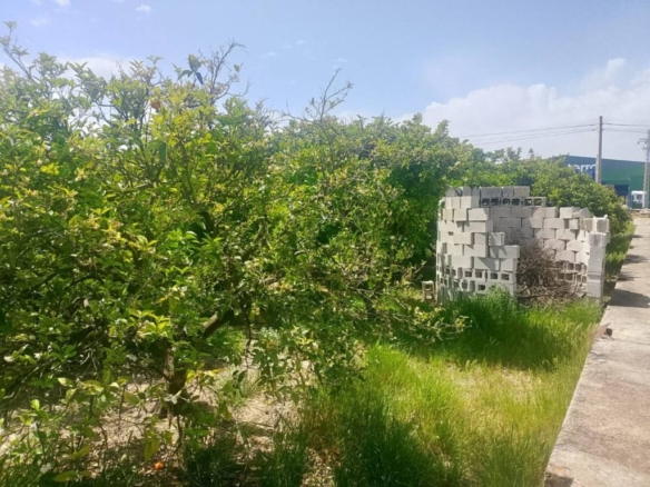 Imagen 4 de Apartamento en Venta en Miramar Valencia
