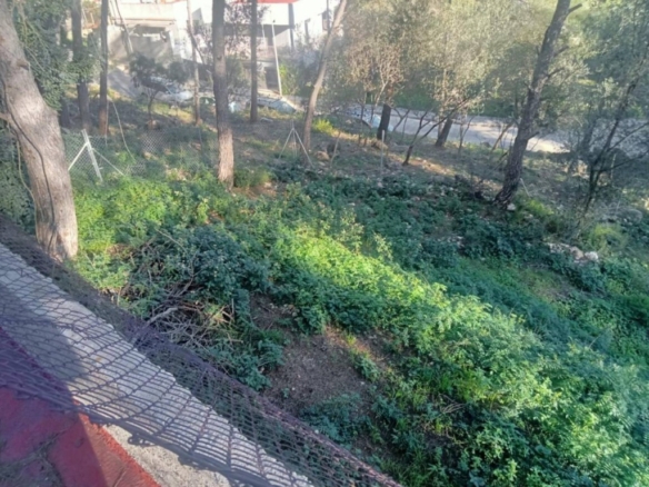 Imagen 4 de Apartamento en Venta en Gandia Valencia