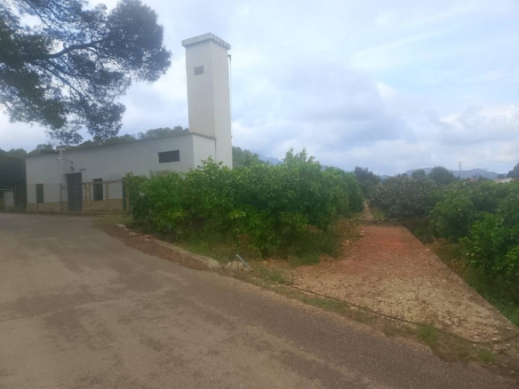 Imagen 3 de Apartamento en Venta en Palma De Gandia Valencia