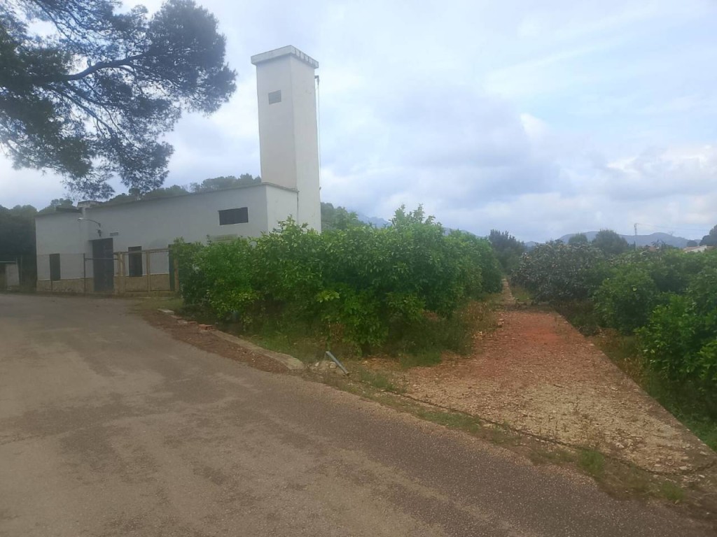 Imagen 3 de Apartamento en Venta en Palma De Gandia Valencia