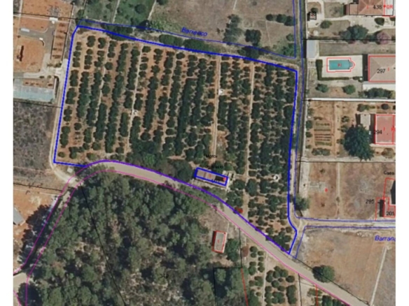 Imagen 1 de Apartamento en Venta en Palma De Gandia Valencia