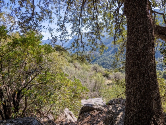 Imagen 2 de Finca rústica exclusiva en el corazón de la Tramuntana – Sóller