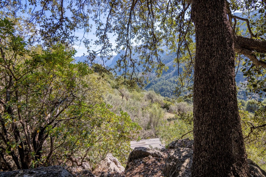 Imagen 2 de Finca rústica exclusiva en el corazón de la Tramuntana – Sóller