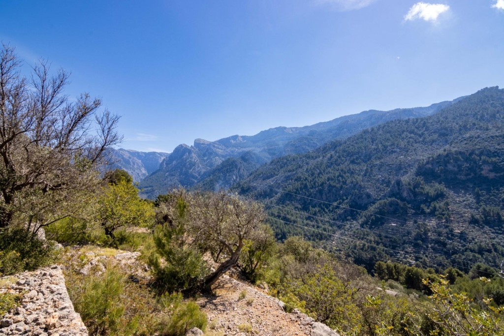 Mallorca