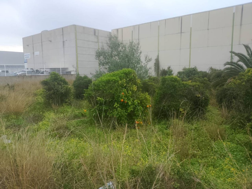 Imagen 1 de Apartamento en Alquiler en Alqueria De La Comtessa