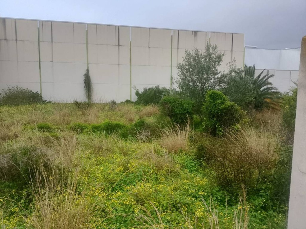 Imagen 2 de Apartamento en Alquiler en Alqueria De La Comtessa