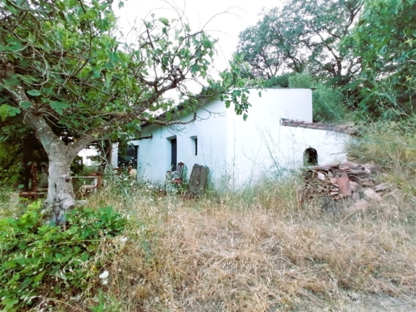 Imagen 1 de Casa de campo-Masía en Venta en Cortes De La Frontera Málaga