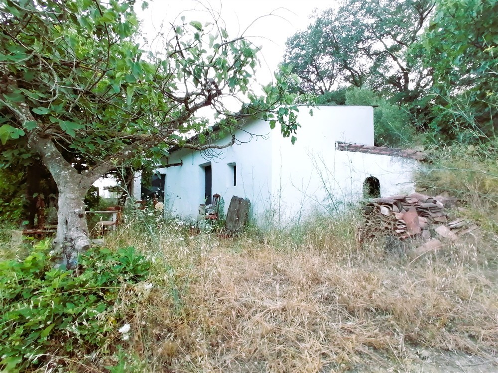 Imagen 1 de Casa de campo-Masía en Venta en Cortes De La Frontera Málaga