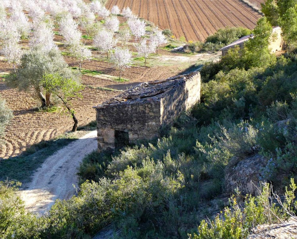 Imagen 1 de Suelo rústico en Venta en Batea Tarragona