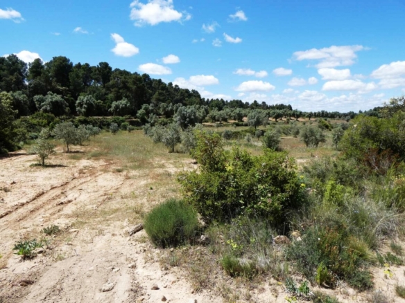 Imagen 2 de Suelo rústico en Venta en Calaceite Teruel