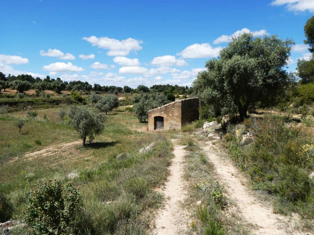 Imagen 4 de Suelo rústico en Venta en Calaceite Teruel