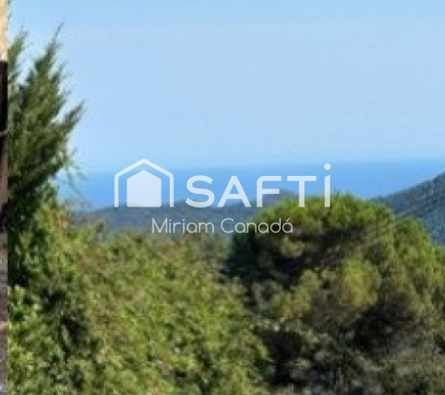 Imagen 4 de Casa ocupada con parcela de +800 m²