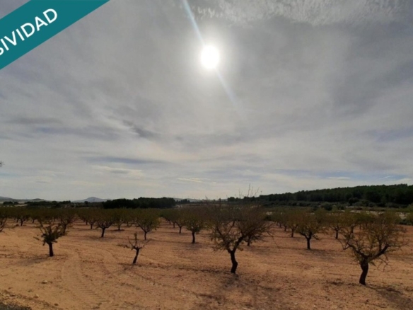 Imagen 1 de El terreno que estabas buscando