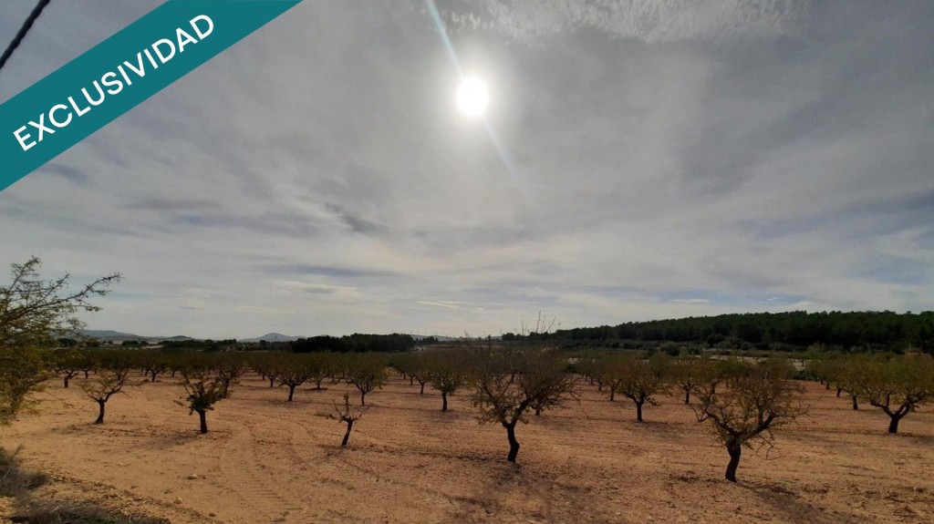 Imagen 1 de El terreno que estabas buscando