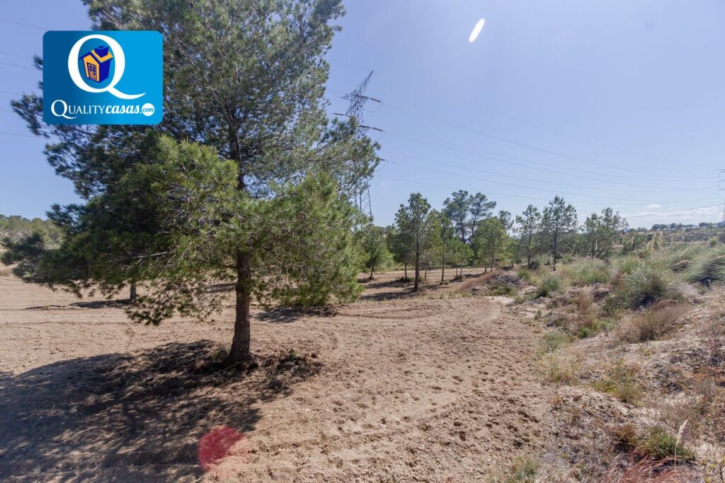 Imagen 4 de Casa-Chalet en Venta en Busot Alicante Ref: Z57082