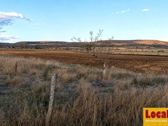 Imagen 2 de Extenso terreno en Pomar de Valdivia