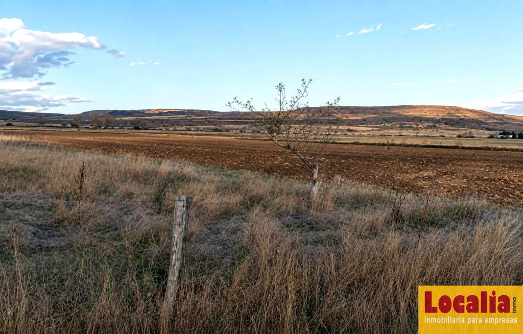 Imagen 2 de Extenso terreno en Pomar de Valdivia