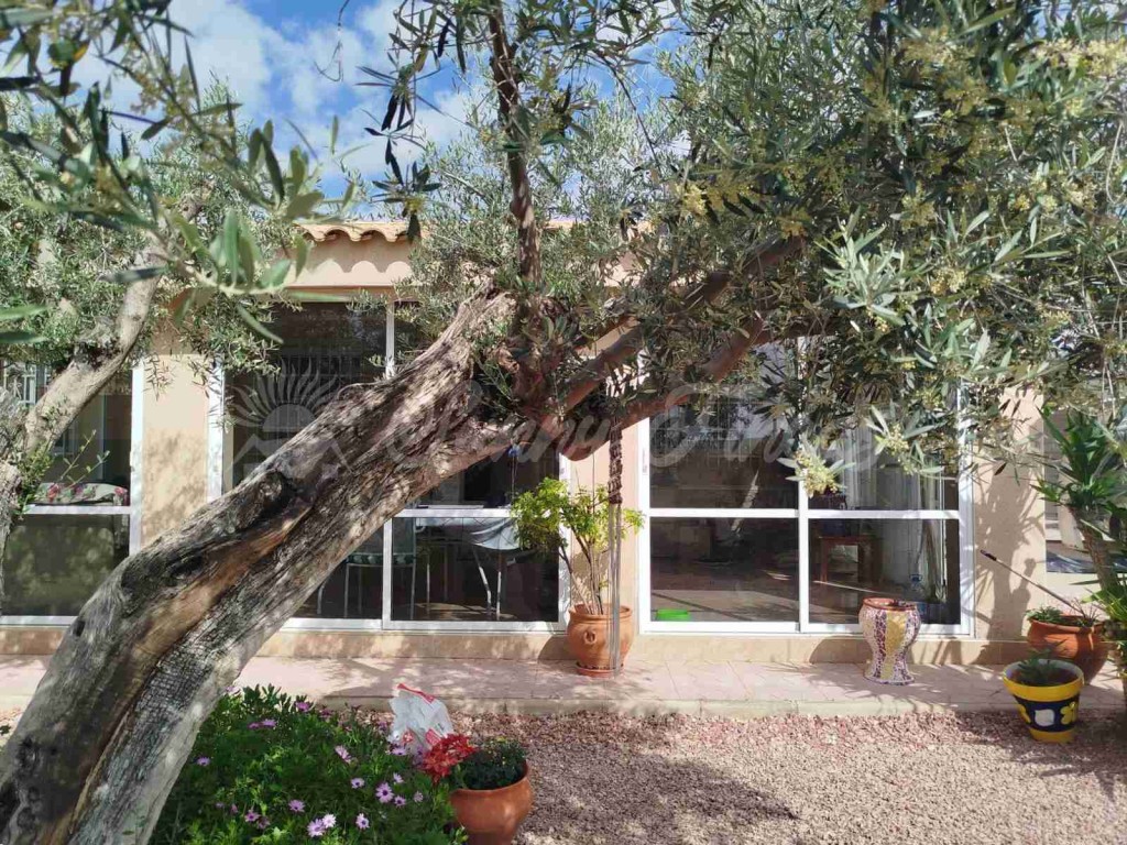 Imagen 3 de Casa-Chalet en Venta en Alcana Alicante