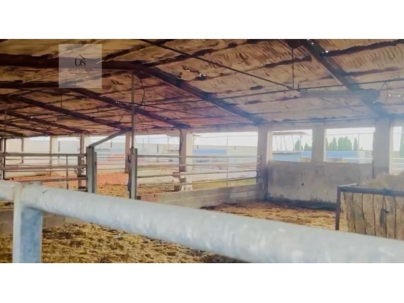 Imagen 1 de Parcela en Venta en Quintanar De La Orden Toledo