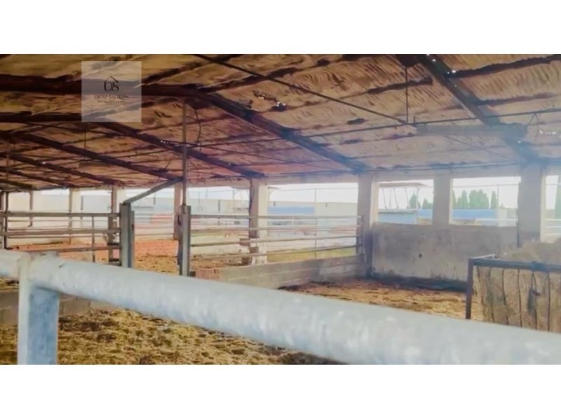 Imagen 1 de Parcela en Venta en Quintanar De La Orden Toledo