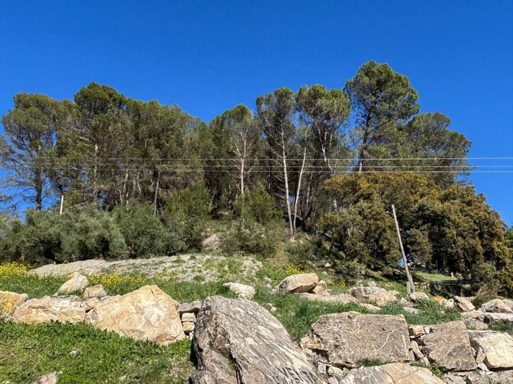2 Has con cortijo y nave en Loja