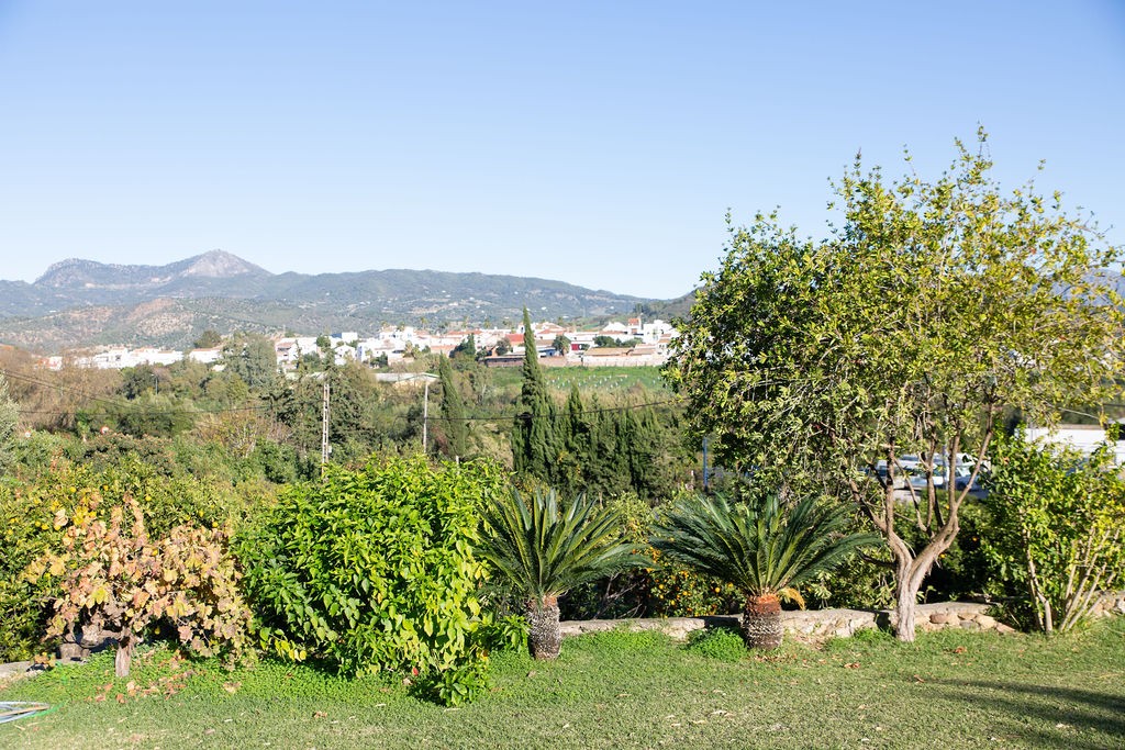 Imagen 3 de Casa-Chalet en Venta en San Pablo De Buceite Cádiz